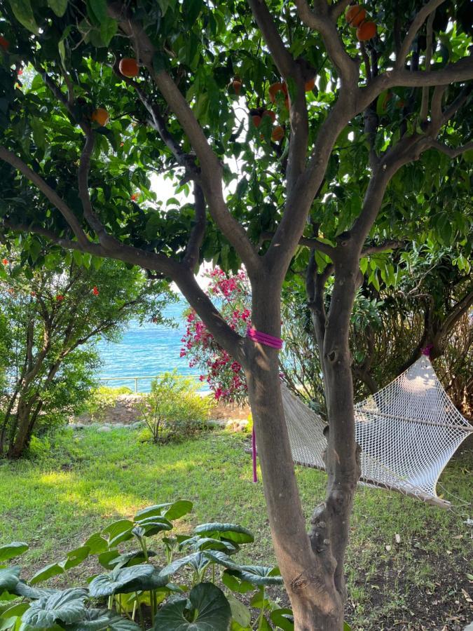 Nelinda Waterfront Accommodation 卡萨米乔拉泰尔梅 外观 照片